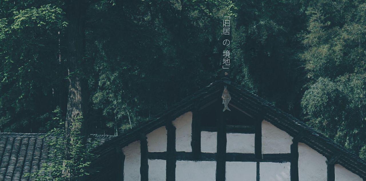 寂静岭：暴雨